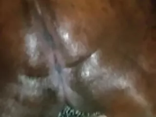 El tipo mete paginas de peliculas xxx dos perras en crustáceos y se las folla a su vez