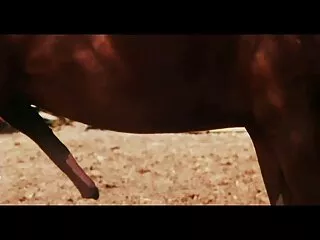 Para un bebé, esto es similar a un orgasmo, porque se puso sorprendentemente caliente entre las piernas, y ella misma se olvidó de todo excepto de los placeres xxx virgenes español voluptuosos y sensuales.